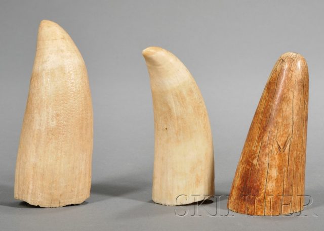 IVORY TUSK