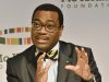 Only business of AfDB is to empower African entrepreneurs -Adesina