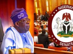 Tinubu appoints new Service Chiefs